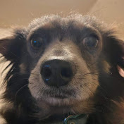 Profile Picture of Hayden Gaghan (@haydengaghan4185) on Youtube