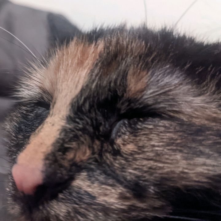 Profile Picture of Devin Heilman (@devinheilman) on Tiktok