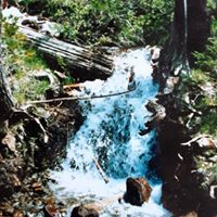 Profile Picture of Arne Nelson (@arne-nelson-2) on Quora