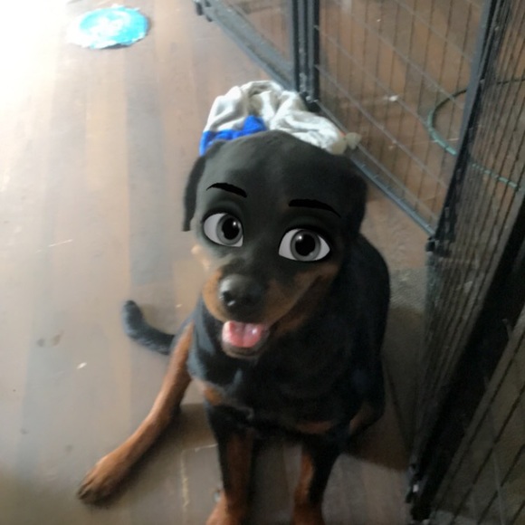 Profile Picture of John Townsend (@johntown314) on Poshmark