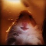 Profile Picture of Санька любит сосать хуй (@_sanya_xuy_sosi_) on Instagram