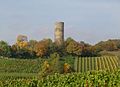 Profile Picture of Scharfenstein Castle (Kiedrich)on Wikipedia