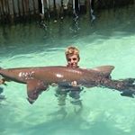 Profile Picture of Zacharykoester (@zachary11111111118) on Instagram