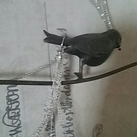 Profile Picture of Danielle Ballenger (@dsballxe) on Poshmark