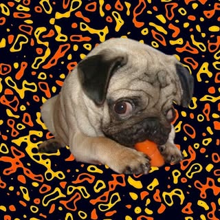 Profile Picture of joseph Owens (@joseph_owens) on Instagram