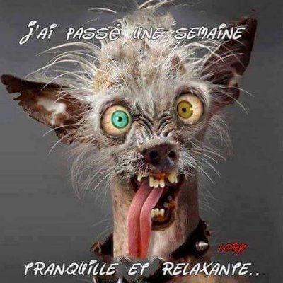 Profile Picture of Jay Debar (@DebarJay) on Twitter