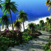 Cristian Rivas - Quora Profile Picture of Cristian Rivas (@cristian-rivas-13) on Quora