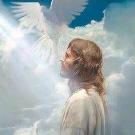 Profile Picture of Alberta Gallardo (@Alberta-Gallardo) on Facebook