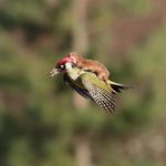 Profile Picture of Kim Chiz (@sofarsoclosed) on Instagram