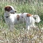 Profile Picture of David DuVal (@ankeny25) on Instagram