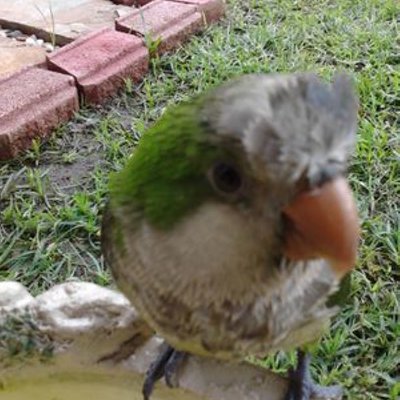 Profile Picture of Anselmo Sanchez (@sancheza570) on Twitter