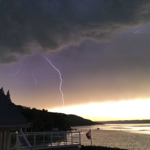 Profile Picture of Carla Willoughby (@carlawilloughby) on Poshmark