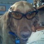 Profile Picture of Dennis Lugo (@dennis.lugo2) on Instagram