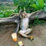 Profile Picture of Joseph Paretto (@paretto__) on Instagram