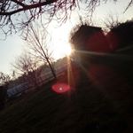 Profile Picture of sebastian-white (@sebastianwhite8414) on Instagram