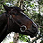 Monna Linda - Flickr Profile Picture of Monna Linda (@monna linda) on Flickr