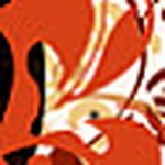 Profile Picture of L@dy (@l@dy bug) on Flickr