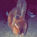 Profile Picture of Cierra Graham (@cierragraham88) on Instagram