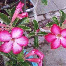 Sarah Levett - Twitter Profile Picture of Sarah Levett (@SarsLevett) on Twitter