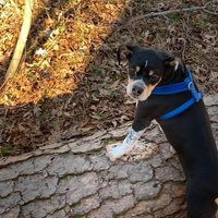 Profile Picture of Bryan Mcfalls (@bryan-mcfalls-1) on Quora