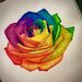 Profile Picture of Melanie Coyle (@melaniejune262003) on Pinterest