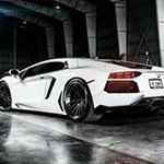 Trent Goyne - Instagram Profile Picture of Trent Goyne (@trentgoyne) on Instagram