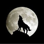 Profile Picture of Kegan Claiser (@keganclaiser) on Instagram