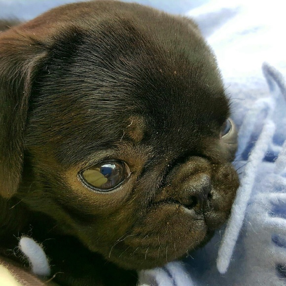 Jamie Cohenour - Poshmark Profile Picture of Jamie Cohenour (@jamiecohenour) on Poshmark