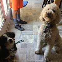 Profile Picture of Jacob Felix (@jacob-felix-19) on Quora