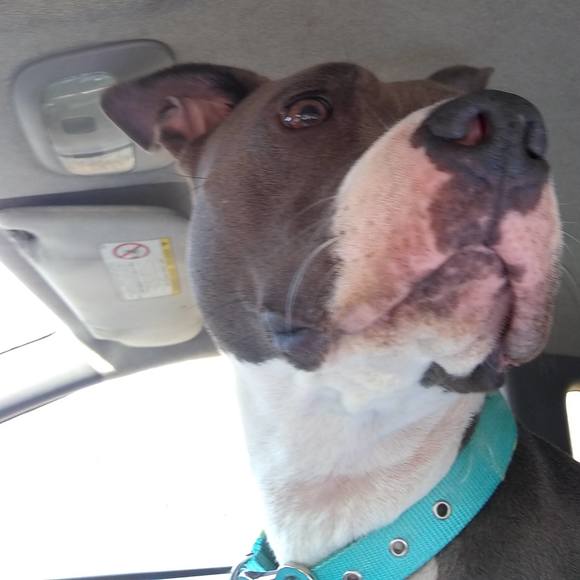 Profile Picture of Tony Marion jr. (@pixer0116) on Poshmark