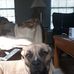 Profile Picture of Randy Helt (@randy.helt.1) on Facebook