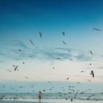 Profile Picture of Johnny Mcfarland (@johnny.mcfarland.2025) on Facebook