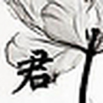 Profile Picture of Jun Li (@%u4E0E%u541B%u5171%u52C9) on Flickr