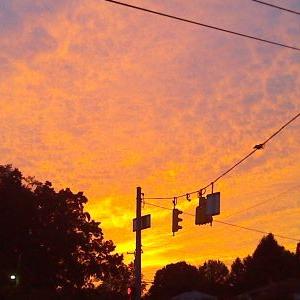 Profile Picture of Diana Mae Cravenor (@dyecravenor) on Twitter