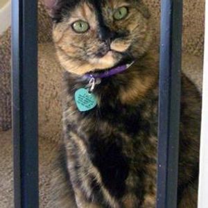 Profile Picture of Dawn Busby (@177318472) on Myspace