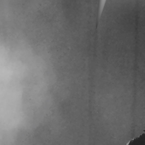 Profile Picture of Ivan Arredondo (@ivanpeepeepoop) on Poshmark