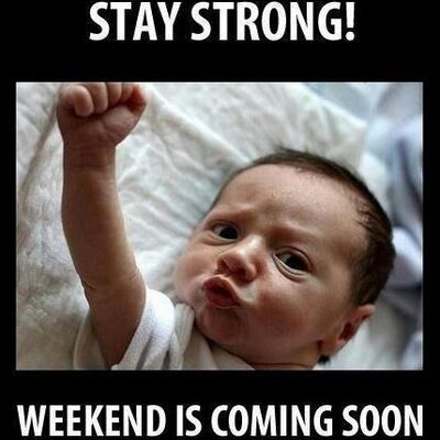 Profile Picture of James Jollie (@JamesJollie) on Twitter