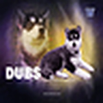 Profile Picture of Dan Flores (@danny flores/sd) on Flickr