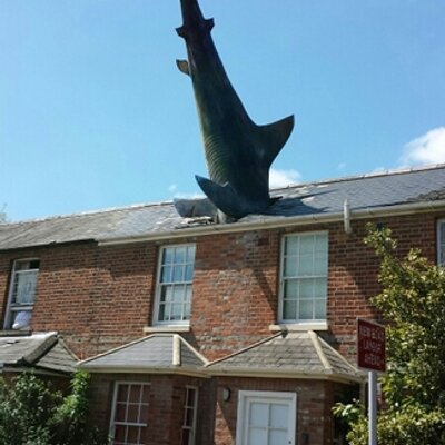 Profile Picture of Richard Ling  💙 (@LingRichard) on Twitter