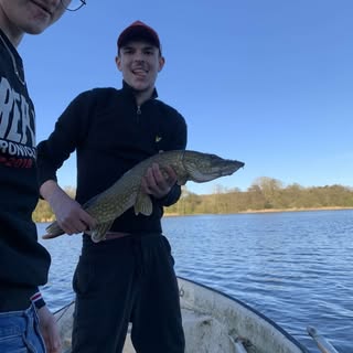 Profile Picture of Liam (@liam.glawe) on Instagram