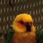 Profile Picture of Marc-O (@marc_olivier_labonte) on Instagram