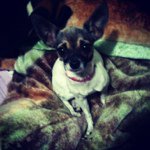 Profile Picture of Marcel wilson (@marcelwillsonn) on Instagram