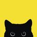 Profile Picture of Black Kitty (@cuppang017) on Pinterest