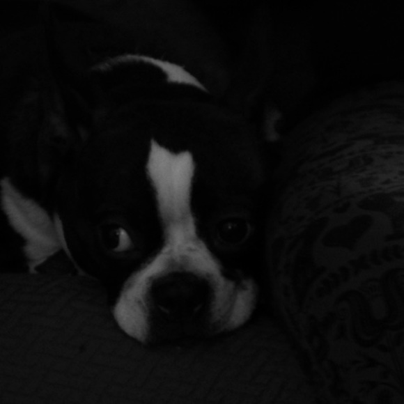 Profile Picture of Carla Grayson (@grayson2008) on Poshmark