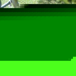 Profile Picture of Edith Aspinall (@213401142) on Myspace