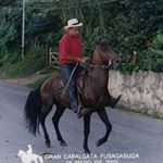 Profile Picture of Guillermo Quevedo Castillo (@guillermo.q.castillo) on Instagram