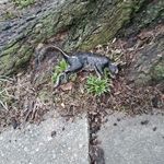 Profile Picture of Jaime Faust (@jaimefaust) on Instagram