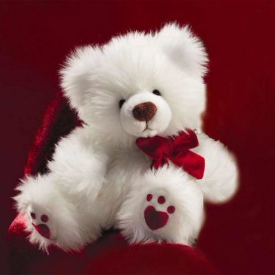 Profile Picture of Hebron Scott (@HebbyThaTeddy) on Twitter