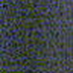 Profile Picture of Sandy Littrell (@littrell_sandy) on Flickr