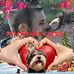 Profile Picture of Roberta Scotto (@roberta.scotto.16) on Facebook